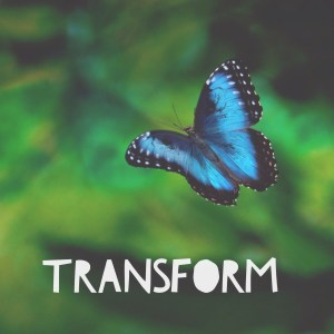 Transform - Extended Lifestyle Mentorship Program