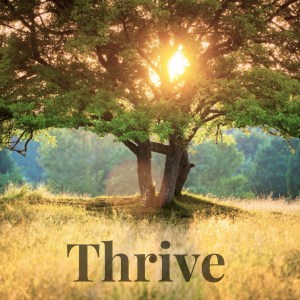 Thrive - Mentorship Program